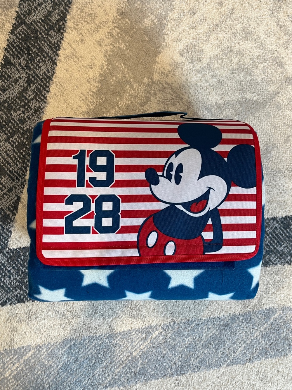 NEW Disney Outdoor Fleece Picnic / Travel Blanket